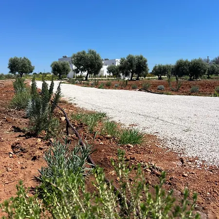 Masseria L'ulia בית חווה גאליפולי
