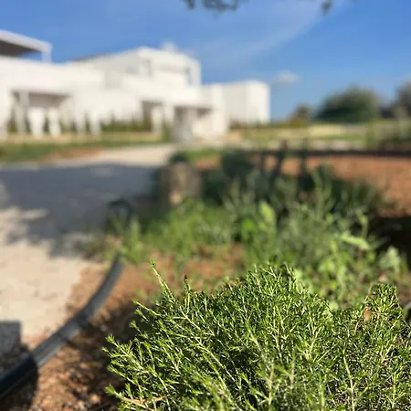 Masseria L'ulia Κατάλυμα σε φάρμα